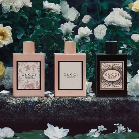 gucci bloom flankers|Original vs Flanker: Gucci Bloom, Bloom Acqua di Fiori, Bloom .